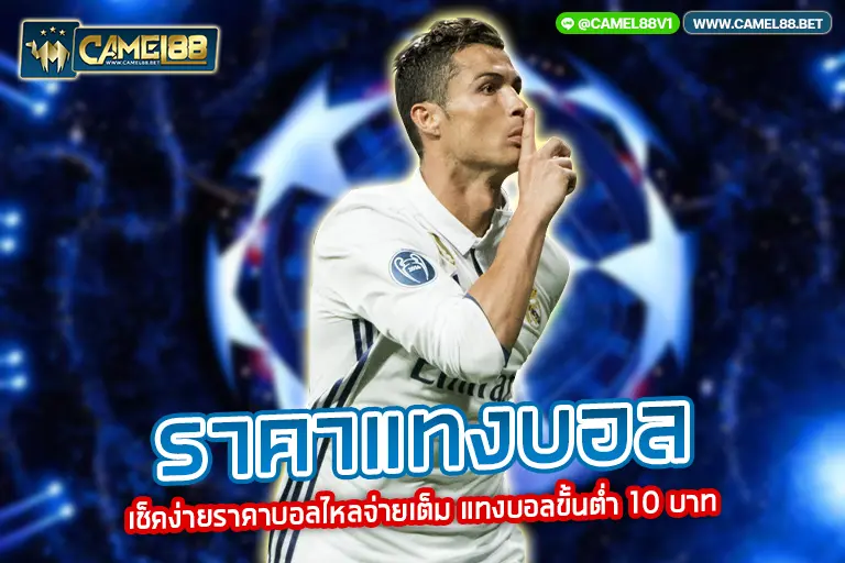 ราคาแทงบอล